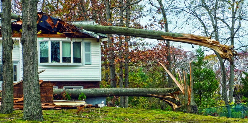 What to do After Incurring Storm Damage