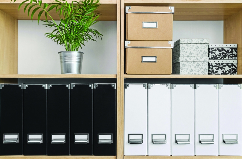 Let a professional help organize your home and life